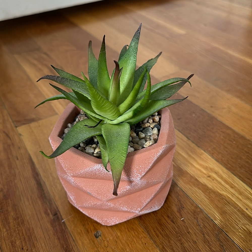 Artificial cactus in peach colored pot